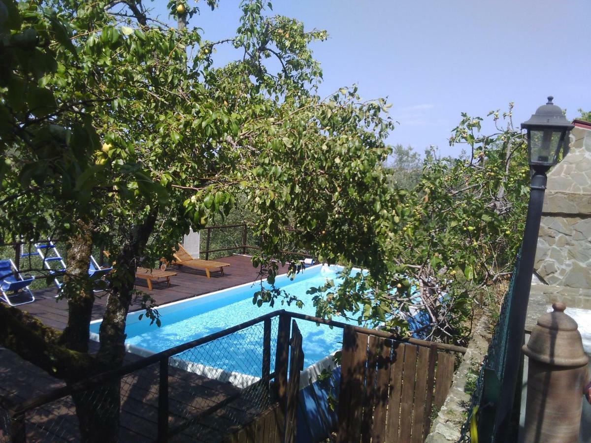 בית הארחה Country House Near פירנצה מראה חיצוני תמונה