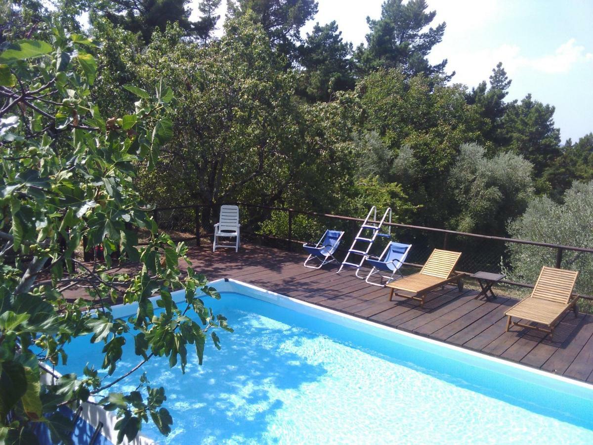 בית הארחה Country House Near פירנצה מראה חיצוני תמונה