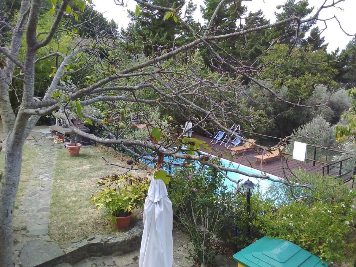 בית הארחה Country House Near פירנצה מראה חיצוני תמונה