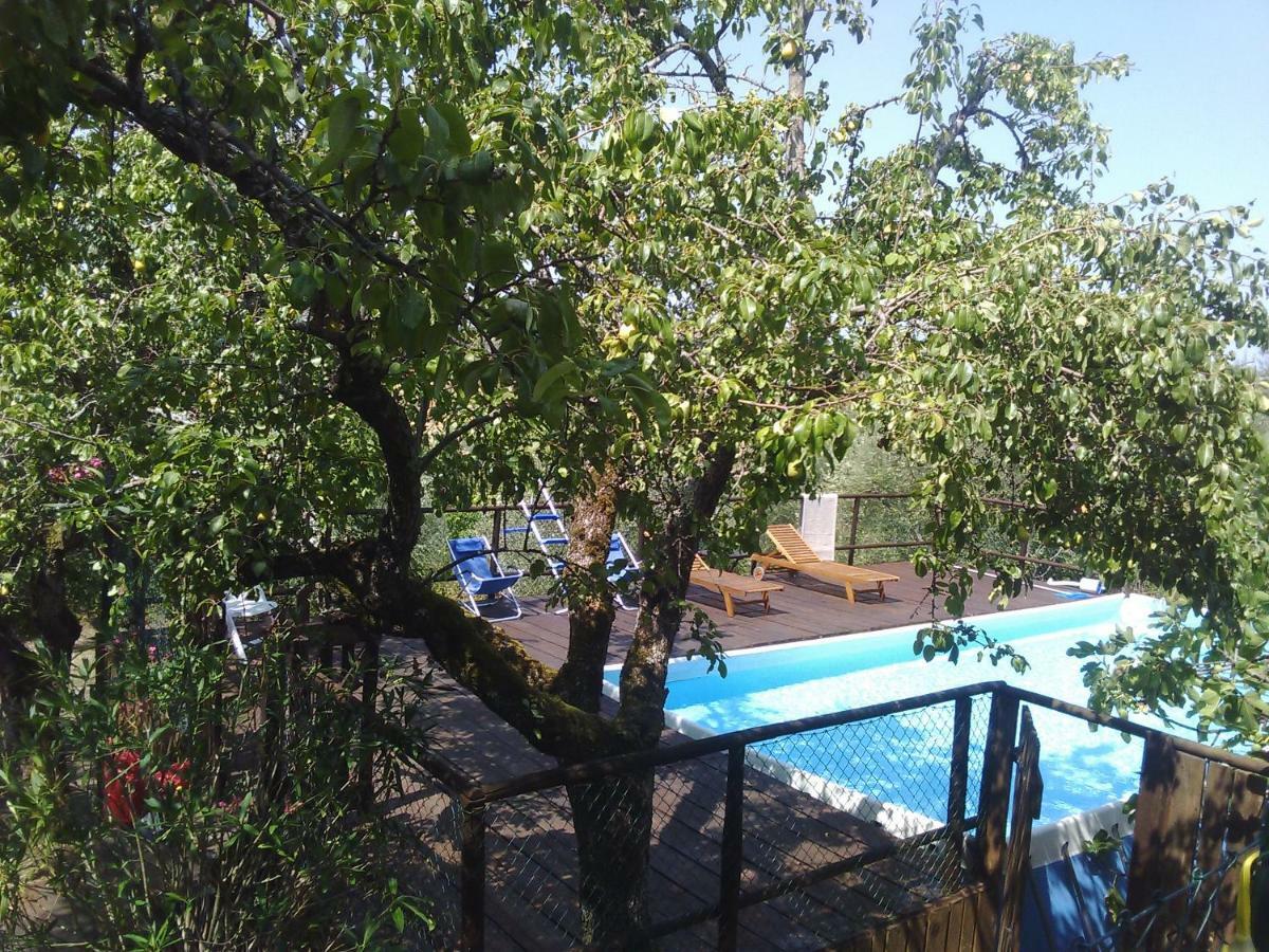 בית הארחה Country House Near פירנצה מראה חיצוני תמונה
