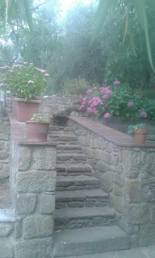 בית הארחה Country House Near פירנצה מראה חיצוני תמונה